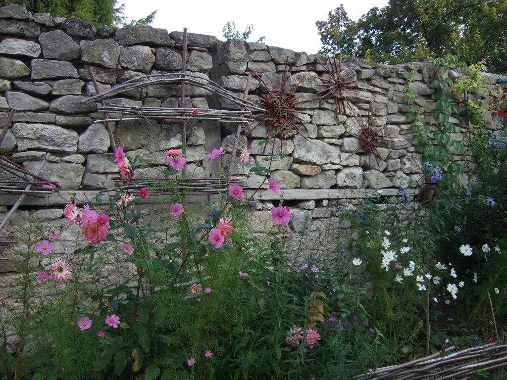 Bed and Breakfast Le Vieux Velo Chaptuzat Exterior foto