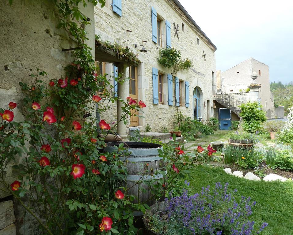 Bed and Breakfast Le Vieux Velo Chaptuzat Exterior foto